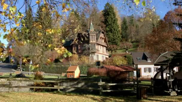 Вид на село через осіннє березове листя — стокове відео