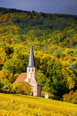 Andlau, Alsace sonbahar üzüm bağları, canlı renkler