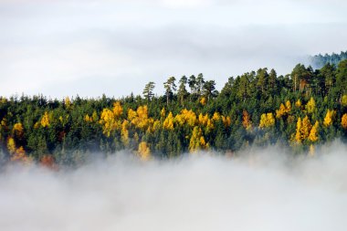 Alsace üzerinde büyük bulutlu. Dağın tepesinden görüntülemek. 