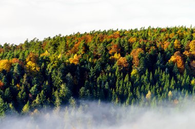 Alsace üzerinde büyük bulutlu. Dağın tepesinden görüntülemek. 