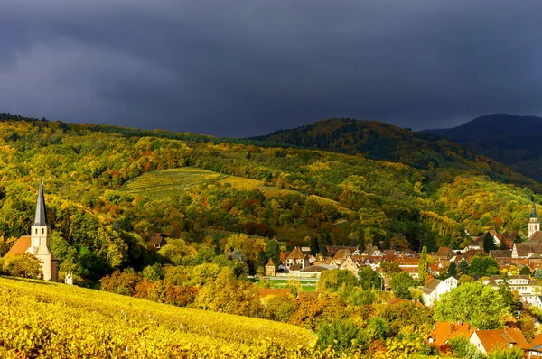 Cores vivas das vinhas de outono em Andlau, Alsácia — Fotografia de Stock