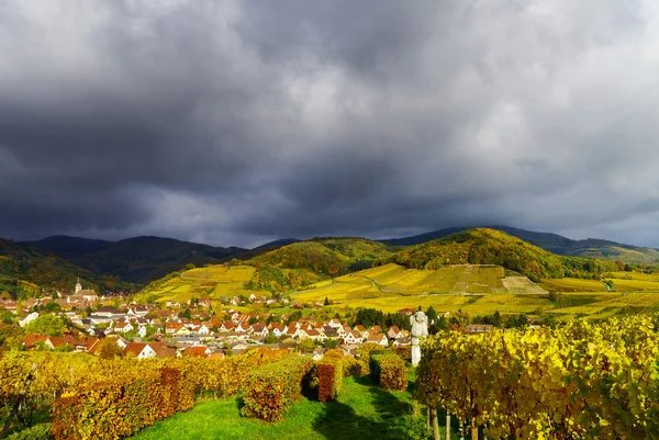 Andlau, Alsace sonbahar üzüm bağları, canlı renkler — Stok fotoğraf
