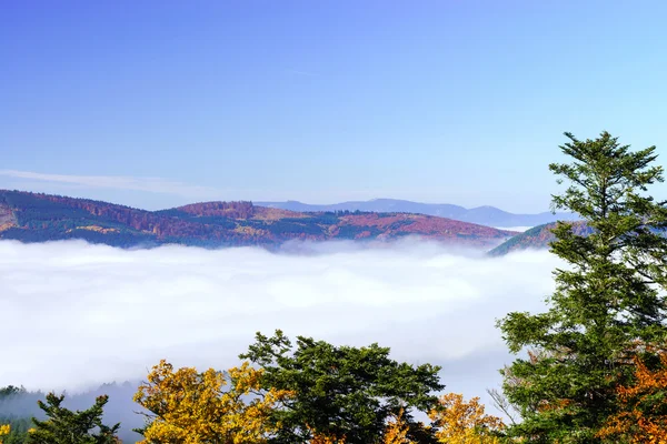 Gran nublado sobre Alsacia. Vista desde la cima de la montaña . —  Fotos de Stock