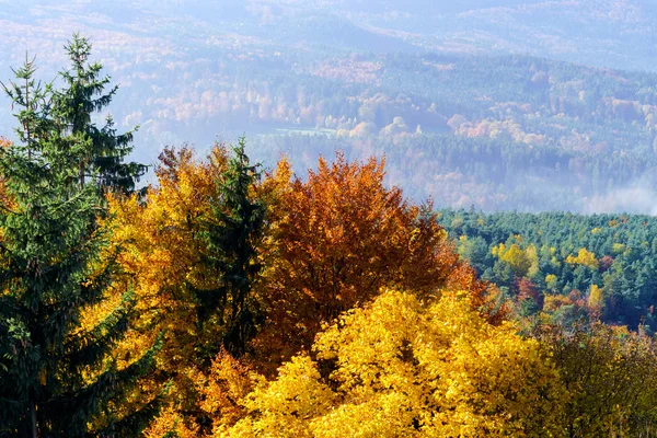 Bra mulet över Alsace. Utsikt från toppen av berget. — Stockfoto