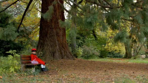 Bambina con ombrello nel vecchio parco naturale, Ottrott, Francia — Video Stock