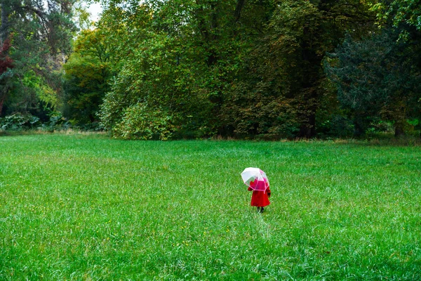 Petite fille mignonne vêtue d'un manteau rouge et chapeau sur le champ d'herbe verte — Photo