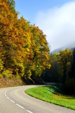 Kırsal yol renkli sonbahar ormandaki
