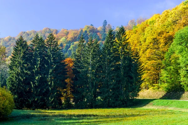 Alsacien Hills güzel renkli sonbahar manzara — Stok fotoğraf