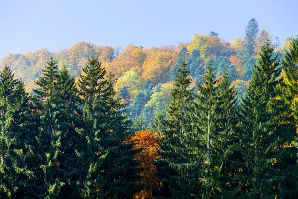 Alsacien Hills güzel renkli sonbahar manzara — Stok fotoğraf