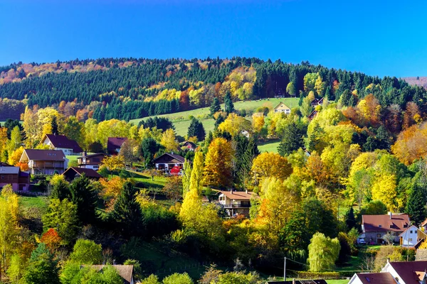Vackra färgglada höstigt landskap med alsacien kullar — Stockfoto