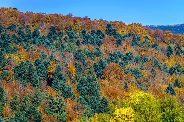 Hermoso paisaje otoñal colorido de colinas alsacianas —  Fotos de Stock