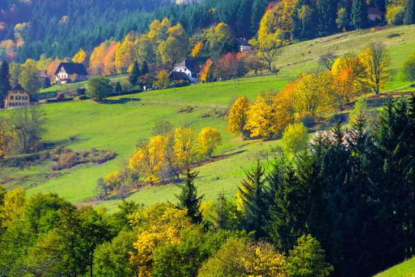 Beautiful colorful autumnal landscape of alsacien hills — Stock Photo, Image