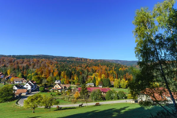 Piękny kolorowy krajobraz jesienny alsacien Hills — Zdjęcie stockowe