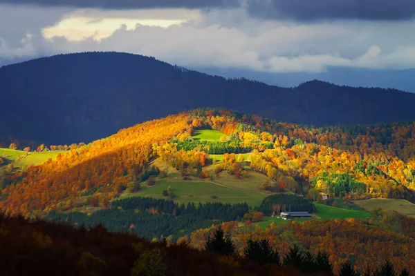 Gyönyörű színes őszi tájat hegyek Guebwiller — Stock Fotó
