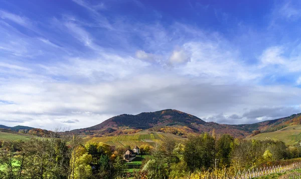 Prachtige landschap van efficiënt heuvels met wijngaarden — Stockfoto