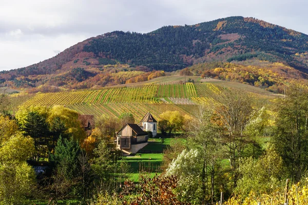 Bellissimo paesaggio di colline alsaciene con vigneti — Foto Stock