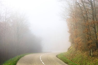 Ormanın içinde tehlike sisli yol