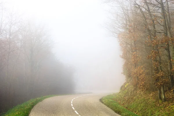 Fara dimmigt road i skogen — Stockfoto