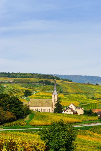 Krásné barevné vinice v Alsasku, podzim — Stock fotografie