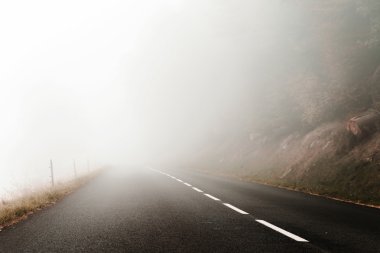 Ormanın içinde tehlike sisli yol