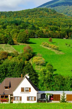 Güzel yeşil Hills Alsace, Fransa