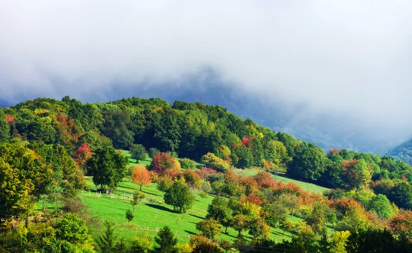 Lindas colinas verdes da Alsácia, França — Fotografia de Stock