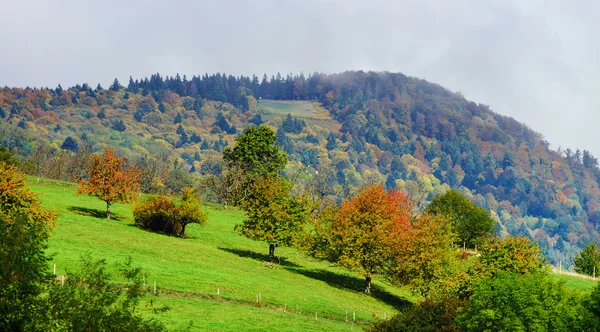 Güzel yeşil Hills Alsace, Fransa — Stok fotoğraf