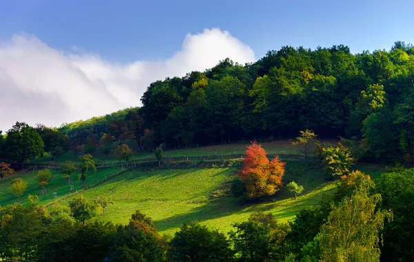 Güzel yeşil Hills Alsace, Fransa — Stok fotoğraf