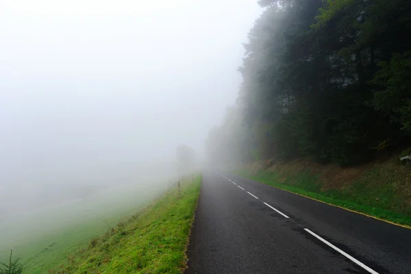 Fara dimmigt road i skogen — Stockfoto