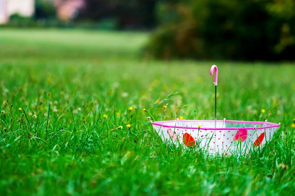 Оставленный детский зонтик на зеленой траве — стоковое фото