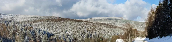 Mooie helling van de heuvel met winter bomen in sneeuw — Stockfoto