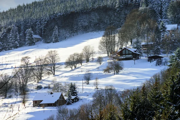 冬の雪の中での木の丘の美しい斜面 — ストック写真
