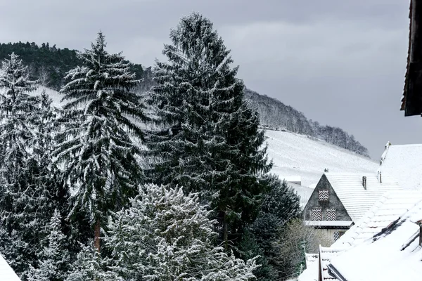Śnieg w Alzacji, Francja, zimowy krajobraz — Zdjęcie stockowe