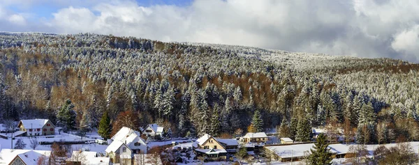 Красивый склон холма с зимними деревьями в снегу — стоковое фото