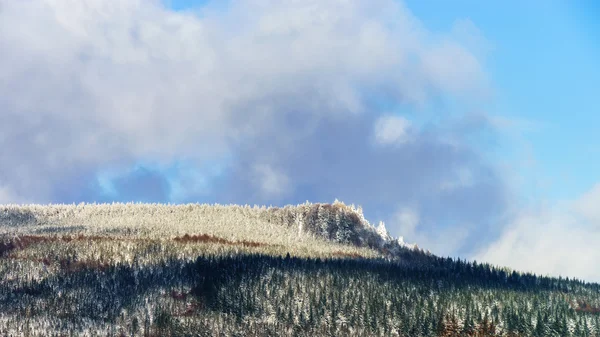 Belle pente de colline avec des arbres d'hiver dans la neige — Photo