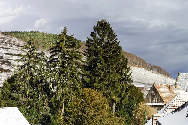 Śnieg w Alzacji, Francja, zimowy krajobraz — Zdjęcie stockowe