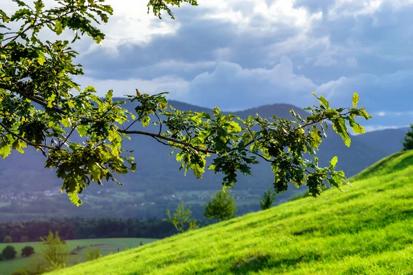 Peisaj însorit frumos în dealurile de toamnă — Fotografie, imagine de stoc