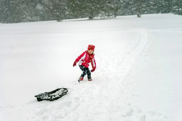 Little girl playing with sled in  snow while snowflurry — Stock Photo, Image