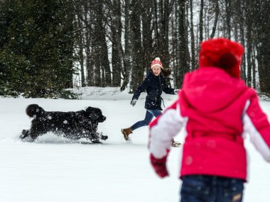 Newfoundlander köpek ile karda oynayan iki kız kardeş
