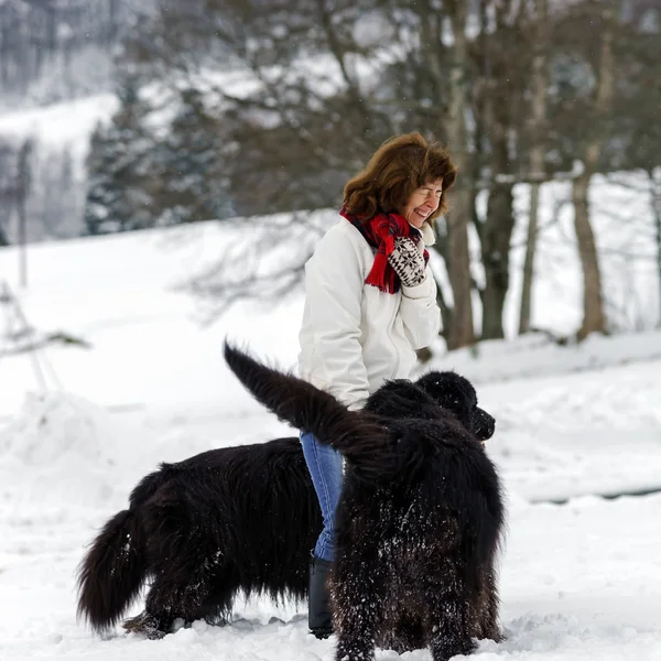 Kvinna med två stora vatten-hundar i snö — Stockfoto