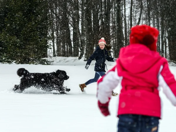 Två systrar leker i snön med newfoundlander hund — Stockfoto