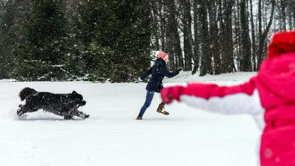 Dos hermanas jugando en la nieve con perro newfoundlander —  Fotos de Stock