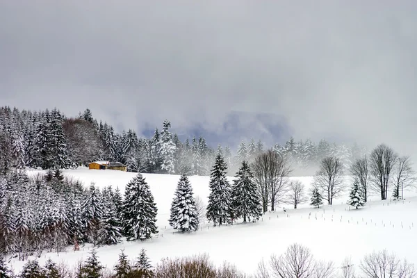 Schöne winterliche Schneelandschaft mit Nebel — Stockfoto