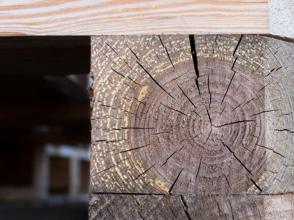 Structuur van de boom kappen — Stockfoto
