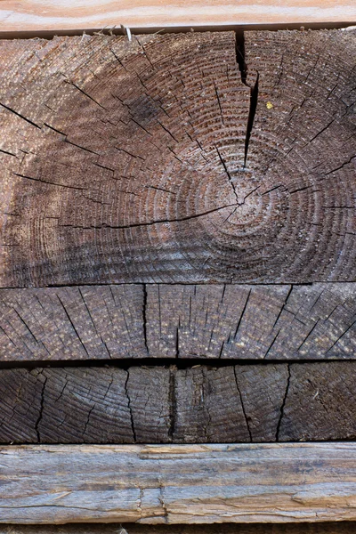 Textura de la tala de árboles — Foto de Stock