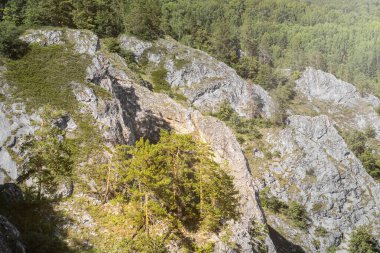 Rusya 'da yüksek kayalık dağlara, mavi gökyüzünün altında yeşil çimenlere ve ağaç ormanlarına sahip Idyllic manzarası. parlak güneş ışığı