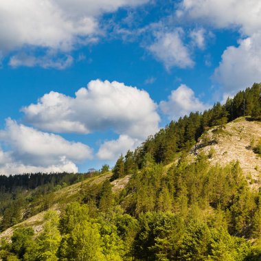 Yeşil ormanlı manzara ve mavi gökyüzünün altındaki yüksek kayalık dağ beyaz kabarık bulutlu. güneşli bir gün