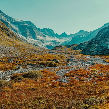 Bulutsuz gökyüzü manzaralı bir dağ manzarası. Vahşi yaşam. Dağcılar için bir cennet. Gündüz vakti. Yürüyüş