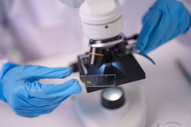 Laboratuvar mikroskobu kullanarak profesyonel bir gözlem. Tıbbi buluşlar ve bilimsel gelişmeler için biyolojik örnekler analiz ediliyor..