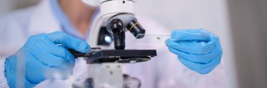 Profesyonel bilim adamı elleri mavi eldiven giyer mikroskobik numuneyi sürgüye yerleştirir steril laboratuvar ortamında önemli biyolojik araştırma deneyleri yapar.